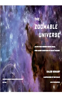 The-Zoomable-Universe-Excerpt.Pdf