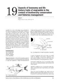 Aspects of Taxonomy and Life History Traits of Engraulids in the Context Of