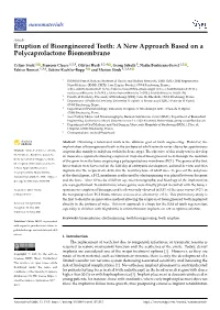 Eruption of Bioengineered Teeth: a New Approach Based on a Polycaprolactone Biomembrane