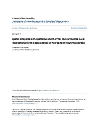 Implications for the Persisitence of Nicrophorine Burying Beetles