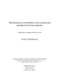 Mechanisms of Excitability in the Central and Peripheral Nervous Systems