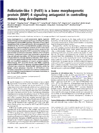 (BMP) 4 Signaling Antagonist in Controlling Mouse Lung Development