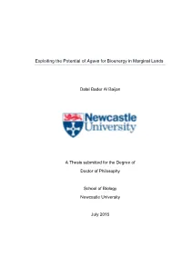 Exploiting the Potential of Agave for Bioenergy in Marginal Lands Dalal