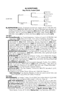 ALGORITHMS Bay Horse; Foaled 2009 Seattle Slew A.P
