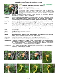 Exporter En PDF Le Genre Cystoderma