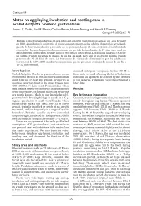 Notes on Egg Laying, Incubation and Nestling Care in Scaled Antpitta