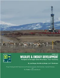 Wildlife and Energy Development Pronghorn of the Upper Green River Basin – Year 1 Summary