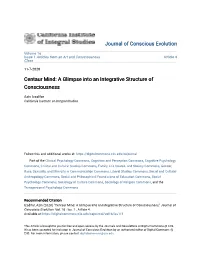 Centaur Mind: a Glimpse Into an Integrative Structure of Consciousness