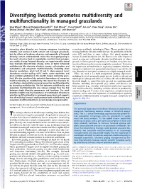 Diversifying Livestock Promotes Multidiversity and Multifunctionality in Managed Grasslands