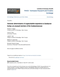 Genomic Determinants of Organohalide-Respiration in Geobacter Lovleyi, an Unusual Member of the Geobacteraceae