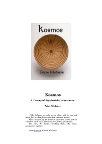 Kosmos a Theory of Psychedelic Experience