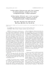 Scolopocryptops Zhijinensis Sp.N. and a Key to Species of Scolopocryptopine Centipedes from China (Scolopendromorpha: Scolopocryptopidae)