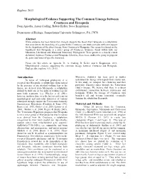 Morphological Evidence Supporting the Common Lineage Between Crustacea and Hexapoda Dom Apicella, Aaron Codling, Robert Keller, Steve Koppleman