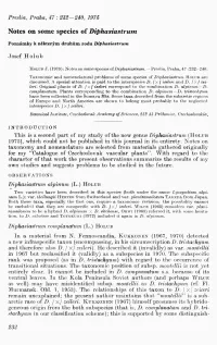 Notes on Some Species of Diphasiastrum