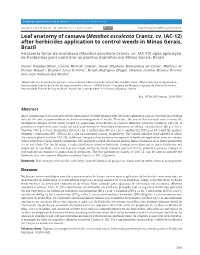 Leaf Anatomy of Cassava (Manihot Esculenta Crantz. Cv. IAC-12) After Herbicides Application to Control Weeds in Minas Gerais, Br