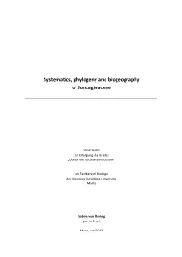 Systematics, Phylogeny and Biogeography of Juncaginaceae