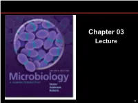 Chapter 03 Lecture