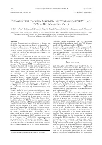 Decorin Gene Transfer Inhibited the Expression of Tgfβ1 and Ecm in Rat Mesangial Cells