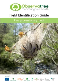 Field Identification Guide Pine Processionary Moth