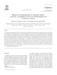 Higher-Level Phylogenetics of Linyphiid Spiders (Araneae, Linyphiidae) Based on Morphological and Molecular Evidence