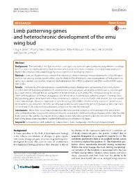 Limb Patterning Genes and Heterochronic Development of the Emu Wing Bud Craig A
