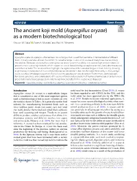 Aspergillus Oryzae) As a Modern Biotechnological Tool Ghoson M