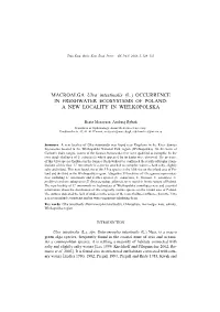 MACROALGA Ulva Intestinalis (L.) OCCURRENCE in FRESHWATER ECOSYSTEMS of POLAND: a NEW LOCALITY in WIELKOPOLSKA