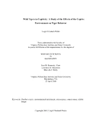 Wild Tigers in Captivity: a Study of the Effects of the Captive Environment on Tiger Behavior