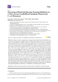 Screening of Bacterial Quorum Sensing Inhibitors in a Vibrio ﬁscheri Luxr-Based Synthetic Fluorescent E