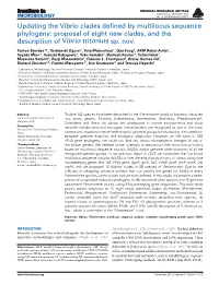 Updating the Vibrio Clades Defined by Multilocus Sequence