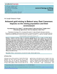 Artisanal Gold Mining in Batouri Area, East Cameroon: Impacts on the Mining Population and Their Environment