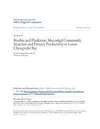 Benthic and Planktonic Microalgal Community Structure and Primary Productivity in Lower Chesapeake Bay Matthew Reginald Semcheski Old Dominion University
