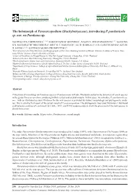 The Holomorph of Parasarcopodium (Stachybotryaceae), Introducing P