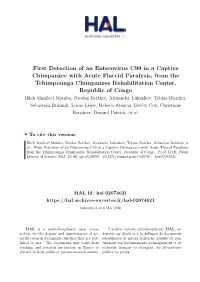 First Detection of an Enterovirus C99 in a Captive Chimpanzee With