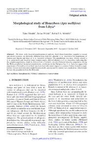 Morphological Study of Honeybees (Apis Mellifera) from Libya*