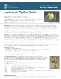 Introduction to Plant Identification