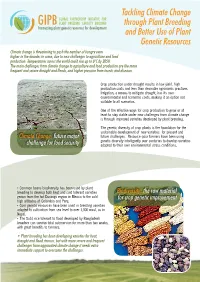 Tackling Climate Change Through Plant Breeding and Better Use of Plant Genetic Resources