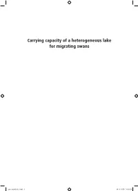 Carrying Capacity of a Heterogeneous Lake for Migrating Swans