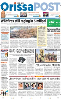 Fully, Fires Have Been Raging in the Forests a Report Said