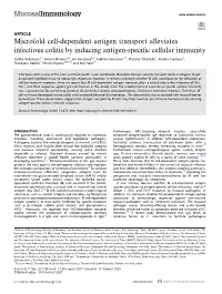 Microfold Cell-Dependent Antigen Transport Alleviates Infectious Colitis by Inducing Antigen-Speciﬁc Cellular Immunity