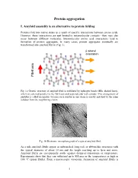 Protein Aggregation