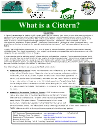 What Is a Cistern?
