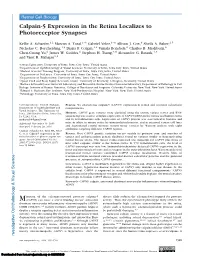 Calpain-5 Expression in the Retina Localizes to Photoreceptor Synapses