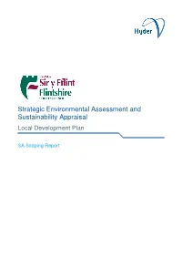 Flintshire LDP SA Scoping Report