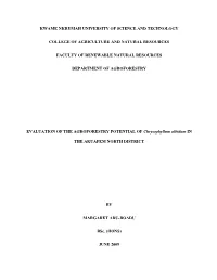 MARGARET ADU-BOADU.Pdf