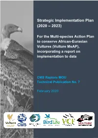 Strategic Implementation Plan (2020 – 2023)