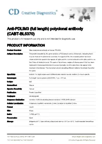Anti-PDLIM3 (Full Length) Polyclonal Antibody (CABT-BL5370) This Product Is for Research Use Only and Is Not Intended for Diagnostic Use