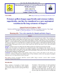 Extensor Pollicis Longus Superficialis and Extensor Indicis Superficialis, Can They Be Considered As a New Anatomical Variation in the Long Extensors of Fingers?