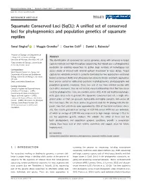 (Sqcl): a Unified Set of Conserved Loci for Phylogenomics and Population Genetics of Squamate Reptiles