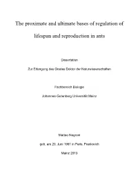 The Proximate and Ultimate Bases of Regulation of Lifespan And